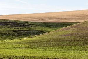 Palouse, WA. Study #61                        (46 49.2476N - 117 39.8438W)
