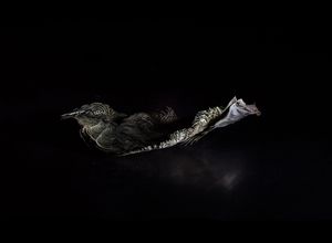 found things- 1