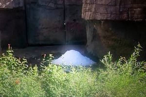 CAPTIVITY