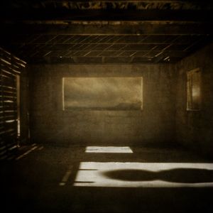 © Erin McGuire - Empty Nest