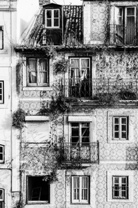 Nobody behind the Windows