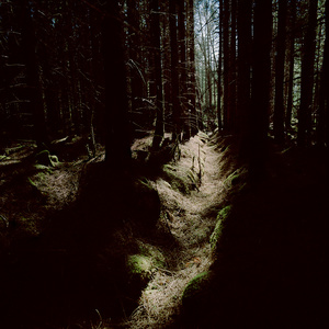 Light Corridor