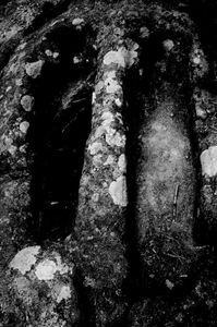 Eschaton