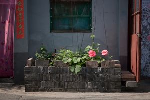 Beijing – Quiet Everyday Street Life