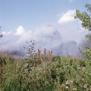 Work from series "Ilgas"