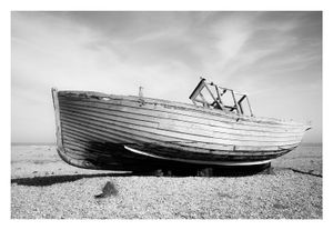 Dungeness #8d