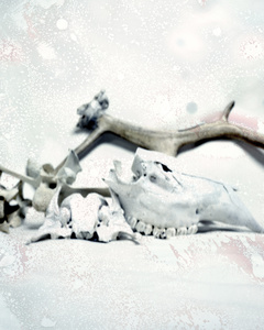 Living Remnants
