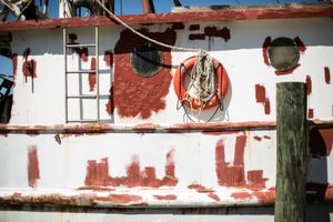 Paul Klee, from the project, Bayou © 2013 Paul Elledge