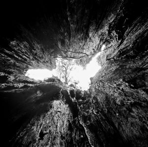 © Stuart Rome