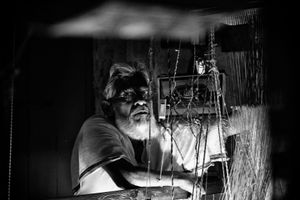 weaver sari