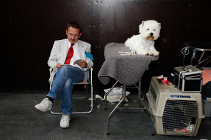 Hundeschau; dog show; concours canin; exposition canine, Bulle