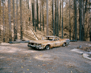 Gifford Springs