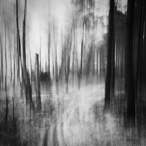 Perfect Silence