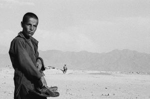the Kite's plan © Gigi Roccati