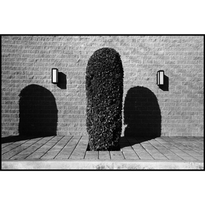 'Phallic Mickey' 1977