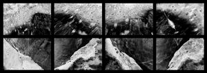 Lakeshore Operations | Dark Series #03