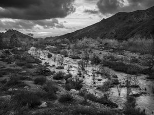 Big Tujunga Creek, 2023