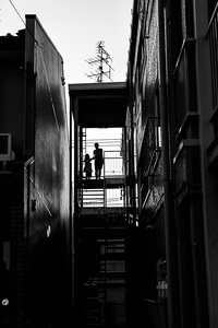 Shadow