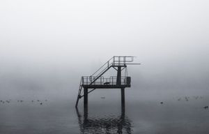 FOG V