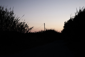 second morning #01