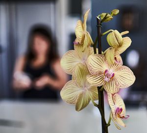 Orchid with Young Woman