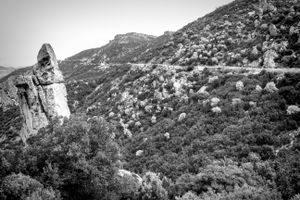 Gennargentu, July 2014