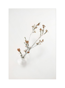 Botanical