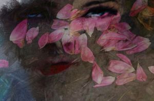 Petals 2