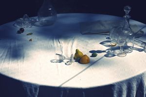 citrus still life