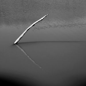 Beside the water II