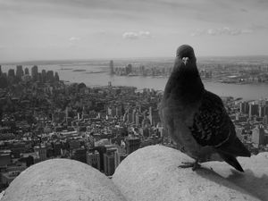 Manhattan