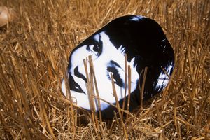SCARECROWS, CLAUDETTE COLBERT