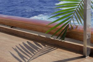 South Sea Shadow