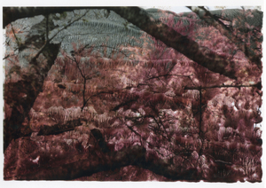 Mt. Chitose #6