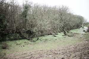 aber mawr. off road pen strwmbl to abereiddi