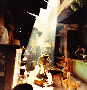 market life