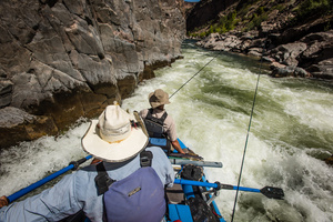 Cable Rapid