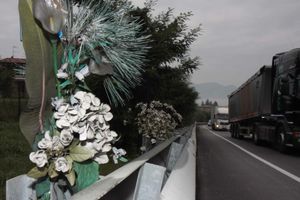 Fiori recisi