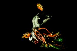Piranha - Dissection