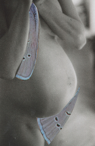 Deforming BODY I