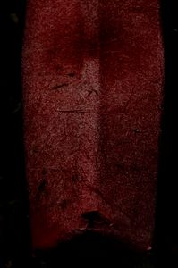 © Thierry Konarzewski