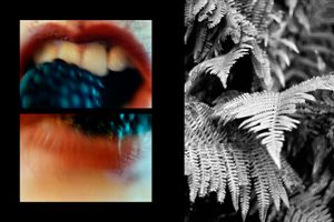 Last Resort #4