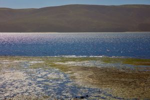 Point Reyes National Seashore, Ca