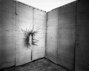 The Gray Room