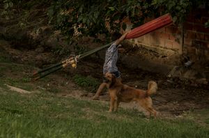 Guardando los remos.