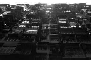 "Hong Kong"