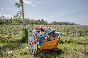 THE CART
