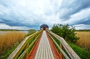 Bird watching house