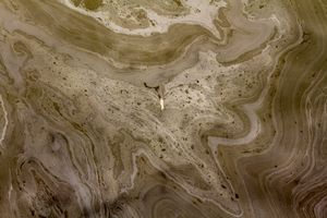 Untitled (Gowsanus Canal)