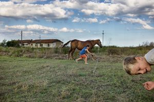 Pecineaga, Romania, 2014